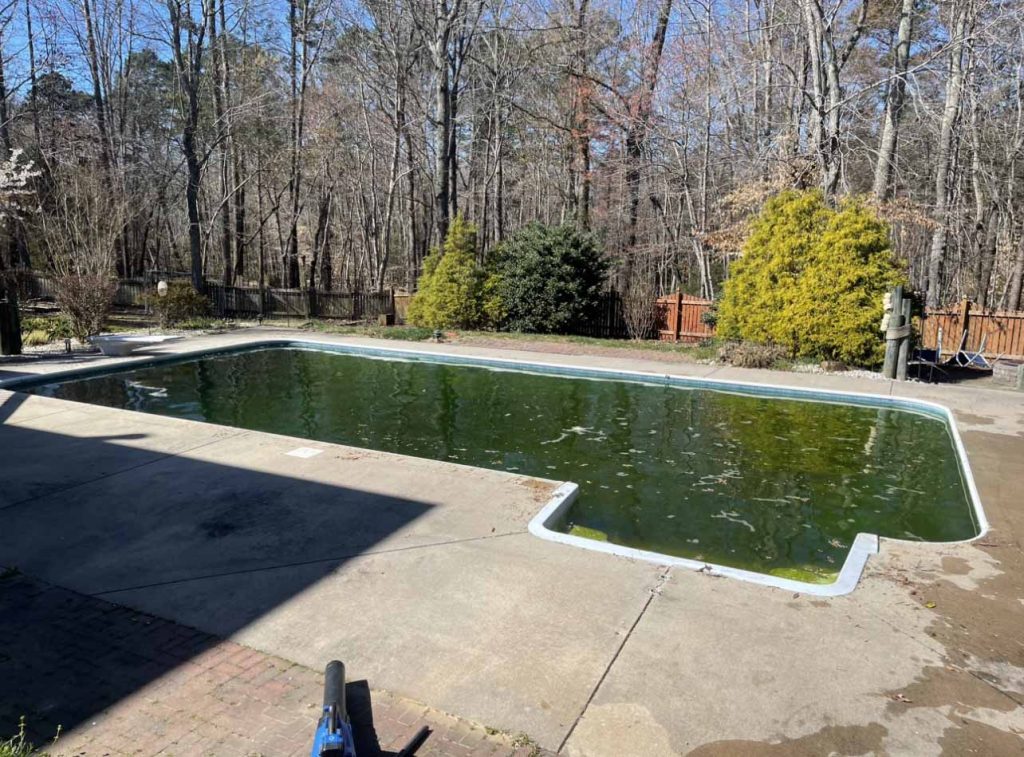 High Point pool service team maintaining a residential pool.