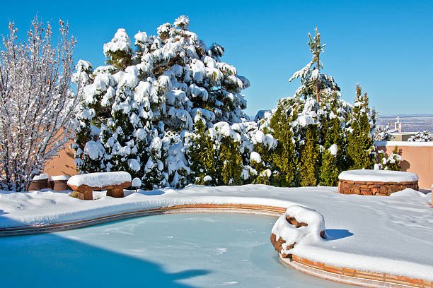Triad Pool Management LLC pool equipment winterization Summerfield, NC